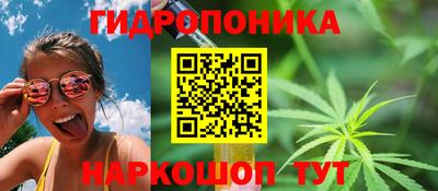 jwh Камышлов