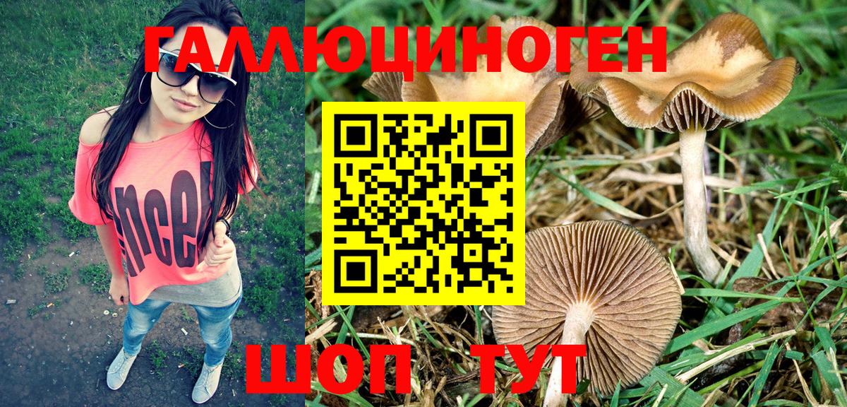 Псилоцибиновые грибы мицелий Магнитогорск